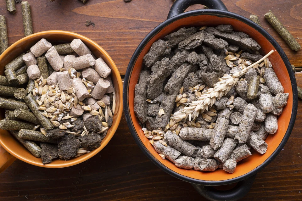 Fermented feed: a global trend addressing local challenges