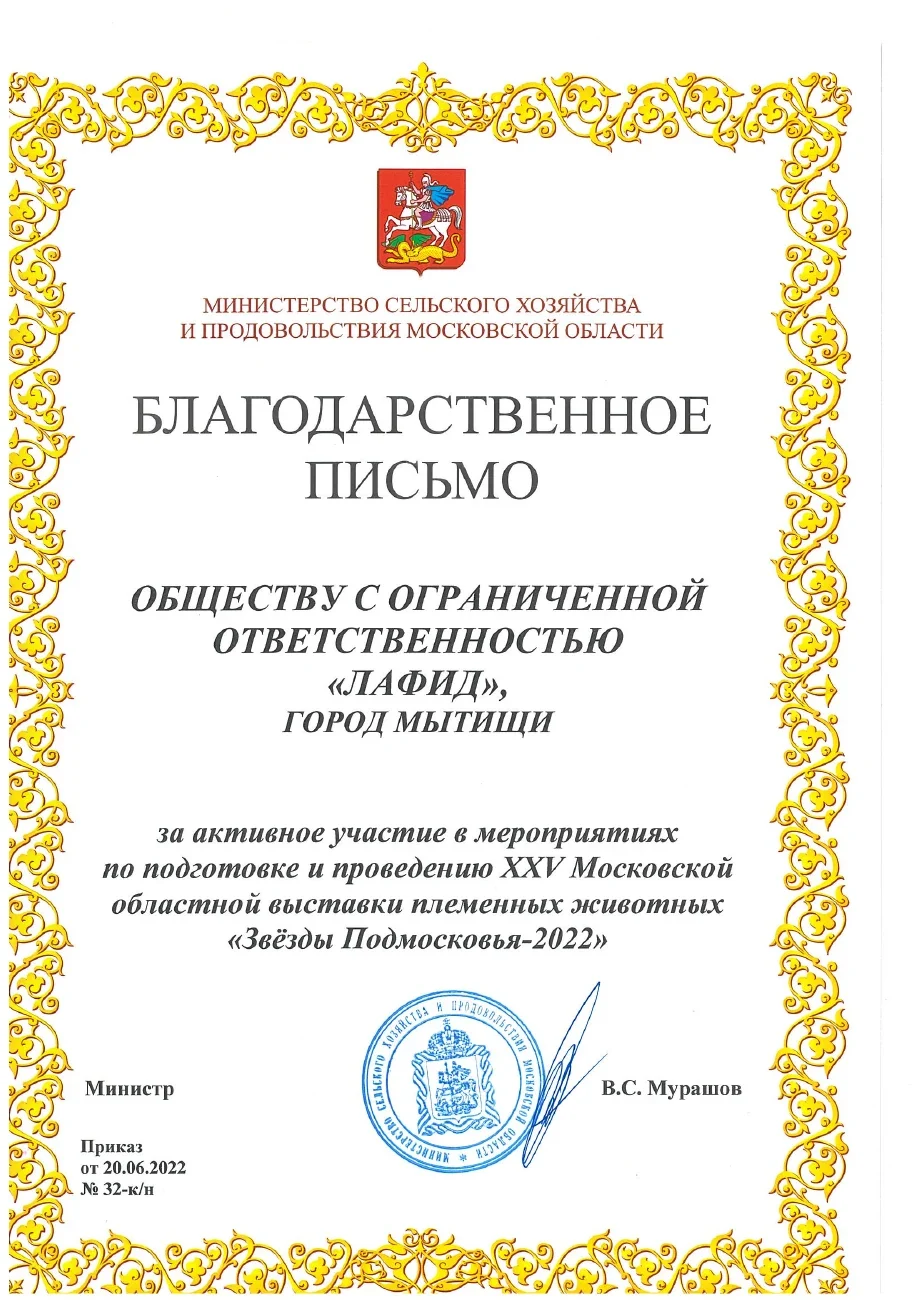 Letter of appreciation — Stars of the Moscow Region · 2022