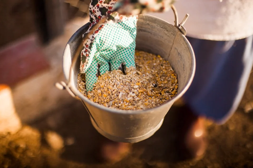 Fermented feed: a global trend addressing local challenges